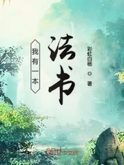 《我有一本法书》小说封面