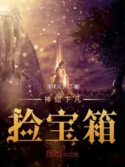《神仙下凡捡宝箱》小说封面