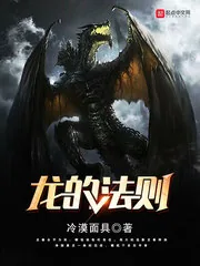 《龙的法则》小说封面