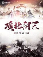 《项北问天》小说封面