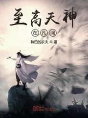 《至高天神在凡间》小说封面