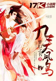 《九天凤鸣》小说封面