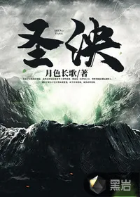 《圣泱》小说封面