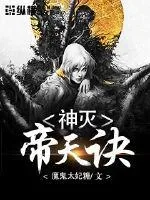 《神灭帝天诀》小说封面