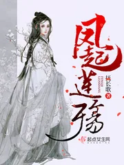 《凤起莲殇》小说封面