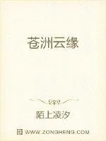 《苍洲云缘》小说封面