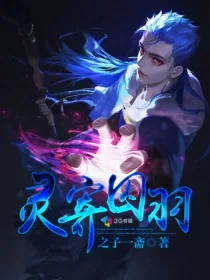《灵寄囚羽》小说封面