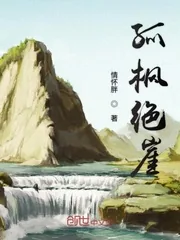 《孤枫绝涯》小说封面