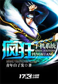 《疯狂手机系统》小说封面