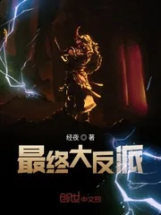 《最终大反派》小说封面