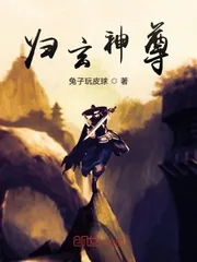 《归玄神尊》小说封面