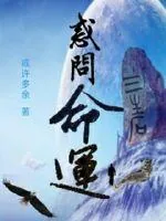 《惑问命运》小说封面