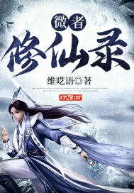 《微者修仙录》小说封面