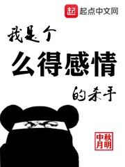 《我是个么得感情的杀手》小说封面