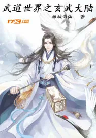 《武道世界之玄武大陆》小说封面
