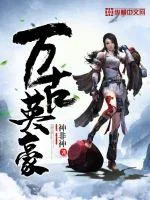《万古英豪》小说封面