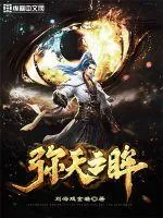 《弥天之眸》小说封面