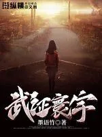 《武证寰宇》小说封面