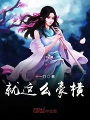 《就这么豪横》小说封面