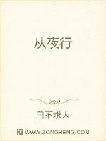 《从夜行》小说封面