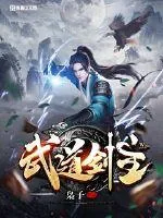《武道剑主》小说封面