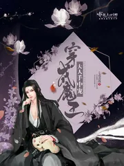 《穿成魔王大人手中宠》小说封面