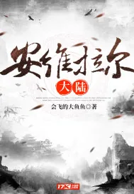 《安维拉尔大陆》小说封面