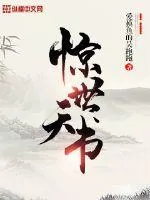 《惊世天书》小说封面