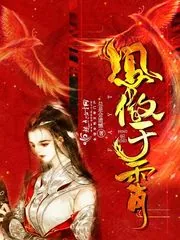 《凤傲于霄》小说封面