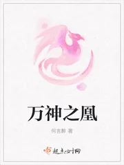 《万神之凰》小说封面