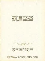 《霸道至圣》小说封面