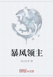 《暴风领主》小说封面