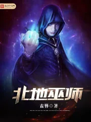《北地巫师》小说封面