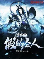 《我是个假的圣人》小说封面