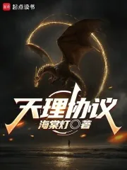 《天理协议》小说封面